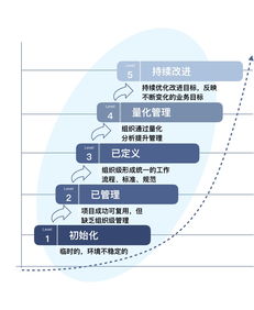 IBM數(shù)據(jù)治理成熟度評(píng)估模型 驅(qū)動(dòng)企業(yè)數(shù)據(jù)價(jià)值實(shí)現(xiàn)的關(guān)鍵框架